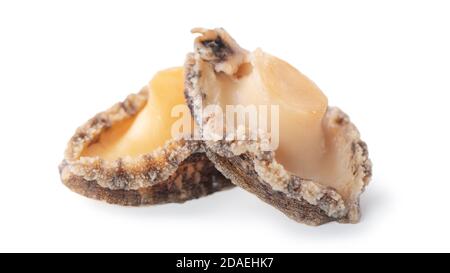 Close up of beautiful raw abalone seafood isolated on white background, clipping path cut out. Stock Photo