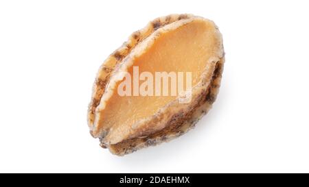 Close up of beautiful raw abalone seafood isolated on white background, clipping path cut out. Stock Photo