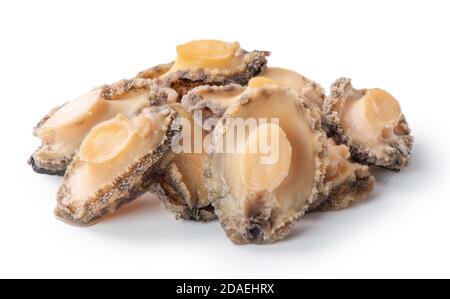 Close up of beautiful raw abalone seafood isolated on white background, clipping path cut out. Stock Photo