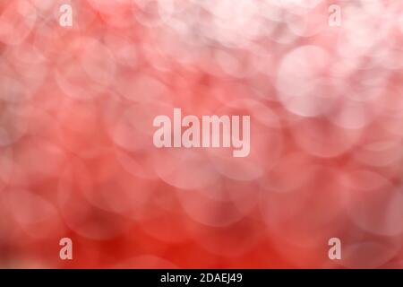 The background is focused, light red. Bokeh is large and translucent, with a toned smooth transition. Stock Photo