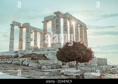 The Poseidon Temple with an olive tree at Cape Sounion Stock Photo - Alamy
