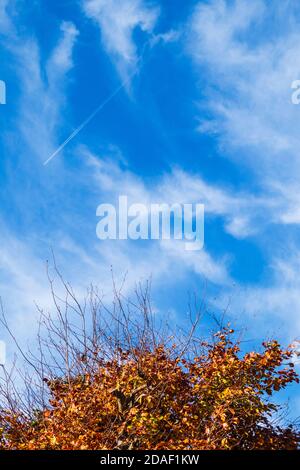 Dramatic Display of Cirrus Cloud on a Bright and Sunny November Morning in South East England Stock Photo