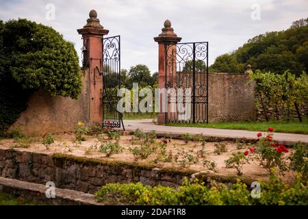 Beautiful authentic gates to the vineyard. French landscape. Stock Photo
