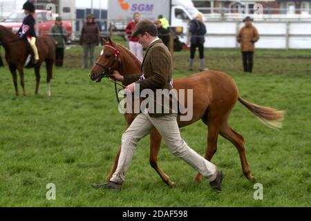 Ayr Agricultural Cattle Show, Ayrshire Scotland. Uk held at Ayr Racecourse. The annual show features livestock and competitions. A much anticipated annual event for the farming community to get together. The show alway closed with a display & procession of prize winning animals and beasts, including horses, cattle, goat,sheep with the final award of the Champion of Champions Stock Photo