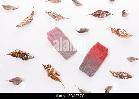 Dry autumn leaves and woolen knitted mittens gray and pink on a white background. Stock Photo
