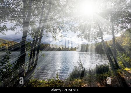 The Holzmaar lake in the Vulkaneifel almost completely surrounded by dense forest