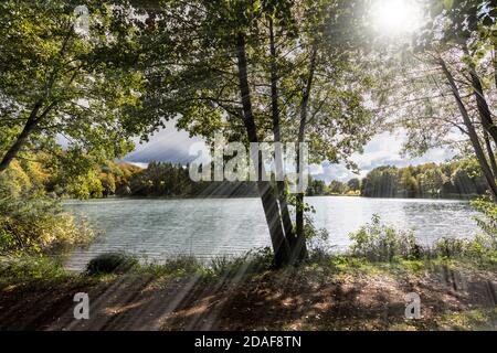 The Holzmaar lake in the Vulkaneifel almost completely surrounded by dense forest