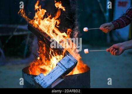Two men holding sticks with marshmallow, roasting them over fire in the night. Cozy and warm atmosphere for a leisure and rest topics backdrop Stock Photo