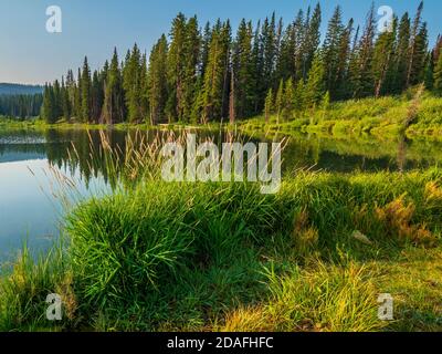 Jumbo Lake, Mesa Lakes area, Grand Mesa, Colorado Stock Photo - Alamy