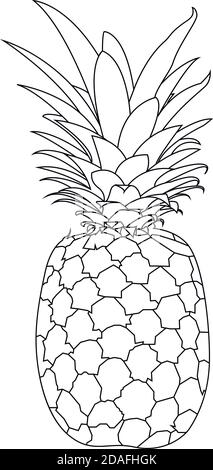 Black and White Pineapple With Line Art or Sketchy Style Stock Vector