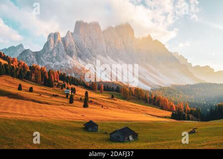 Beautiful autumn colors at the foot of the Odle Mountains in the backdrop of the Seceda Mountains at sunset in the Dolomites, Trentino Alto Adige, Val Stock Photo