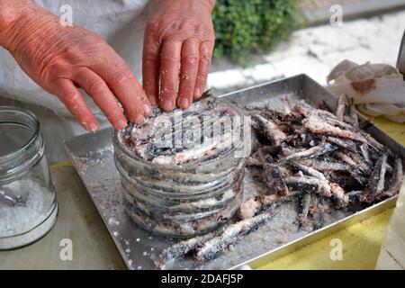 Preparation of salted anchovies in a glass jar Stock Photo