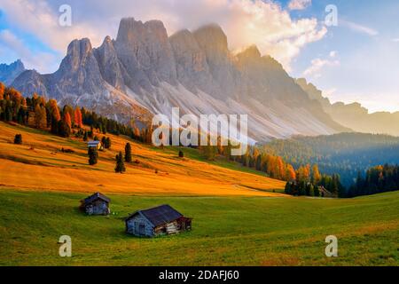 Beautiful autumn colors at the foot of the Odle Mountains in the backdrop of the Seceda Mountains at sunset in the Dolomites, Trentino Alto Adige, Val Stock Photo