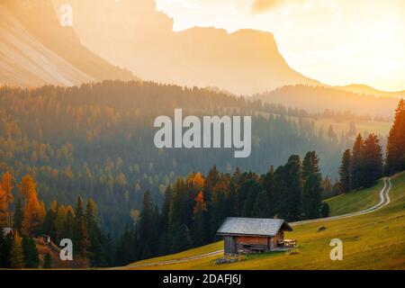 Beautiful autumn colors at the foot of the Odle Mountains in the backdrop of the Seceda Mountains at sunset in the Dolomites, Trentino Alto Adige, Val Stock Photo