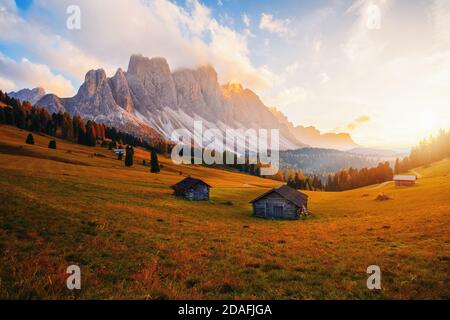 Beautiful autumn colors at the foot of the Odle Mountains in the backdrop of the Seceda Mountains at sunset in the Dolomites, Trentino Alto Adige, Val Stock Photo