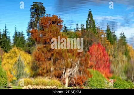 Impressionistic abstract reflections on water surface of colourful autumn  trees Stock Photo