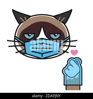 Grumpy cat loves k pop in medical mask and gloves Stock Vector
