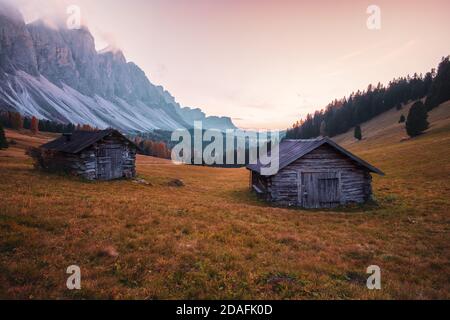 Beautiful autumn colors at the foot of the Odle Mountains in the backdrop of the Seceda Mountains at sunset in the Dolomites, Trentino Alto Adige, Val Stock Photo