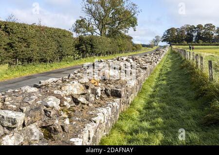 Hadrians Wall between Turret 49B and Birdoswald Fort near Gilsland, Cumbria UK Stock Photo