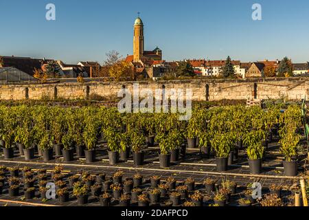 The Market Gardeners’ District of Bamberg is on the UNESCO World Heritage List since 1993 Stock Photo