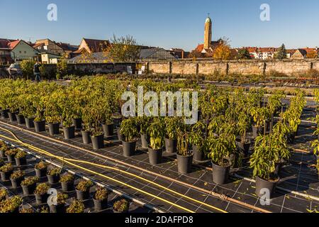 The Market Gardeners’ District of Bamberg is on the UNESCO World Heritage List since 1993 Stock Photo