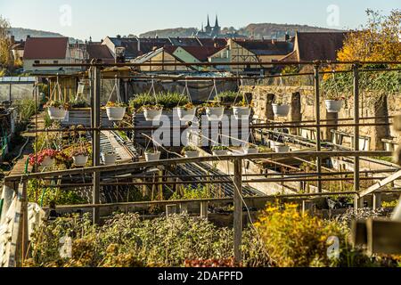 Garden with the spires of Bamberg Cathedral. The Market Gardeners’ District of Bamberg is on the UNESCO World Heritage List since 1993 Stock Photo