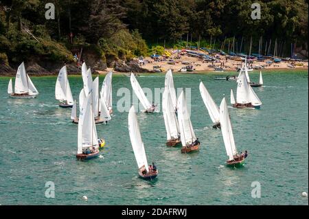 Fleet of Salcombe yawls competing in regatta race with the beach at East Portlemouth in background, Salcombe, South Devon, England, UK Stock Photo