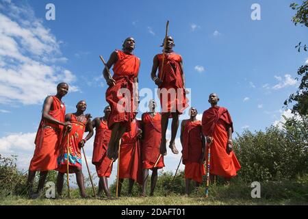 Masai tribespeople performing jumping dance, Masai Mara, Kenya Stock Photo