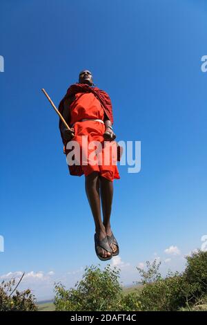 Masai tribespeople performing jumping dance, Masai Mara, Kenya Stock Photo