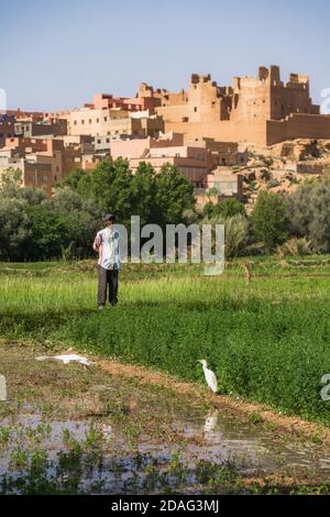 Tinghir , Morocco - APRIL 28 2019: Villager standing on a plain field with grass by the city on a sunny day of spring Stock Photo