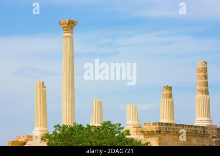 Roman ruins at Uthina (also known as Oudna), Ben Arous Governorate, Tunisia Stock Photo