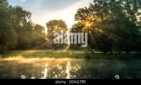 Morgenstimmung im Clara Zetkin Park in Leipzig bei Sonnenaufgang und Nebel im Frühling/Sommer Stock Photo