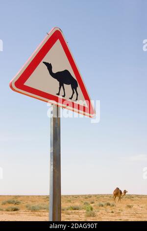 Sign of camel crossing in the desert, Tamerza, Tunisia Stock Photo