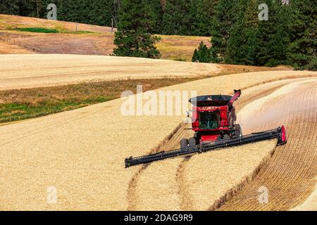 CaseIH combine harvesting wheat on the hillsof the Palouse region in Eastern Washington Stock Photo