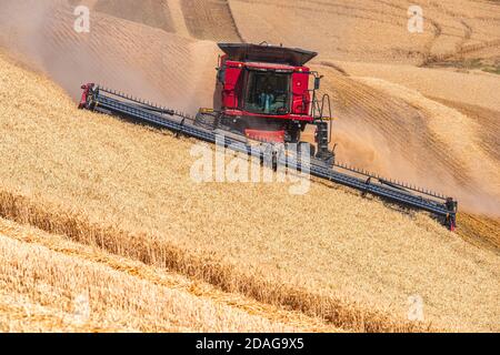 CaseIH combine harvesting wheat on the hillsof the Palouse region in Eastern Washington Stock Photo