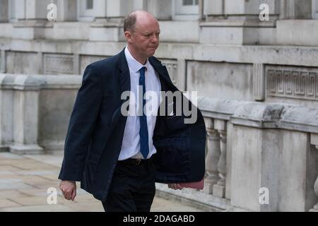 London, UK. 12th November, 2020. Professor Chris Whitty, Chief Medical Officer (CMO) and Chief Scientific Adviser to the Department of Health and Social Care walks towards the Cabinet Office. The CMO acts as the UK governmentÕs principal medical adviser, as well as the professional head of directors of public health in local government and the medical profession in government. Credit: Mark Kerrison/Alamy Live News Stock Photo