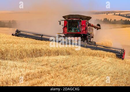 CaseIH combine harvesting wheat on the hillsof the Palouse region in Eastern Washington Stock Photo