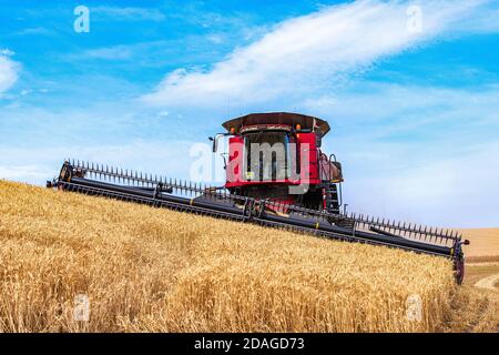 CaseIH self leveling combine harvesting wheat on the hills of the Palouse region of Eastern Washington Stock Photo