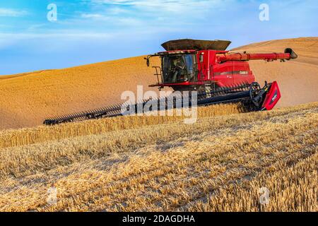 CaseIH combine harvesting wheat on the hillsof the Palouse region in Eastern Washington Stock Photo