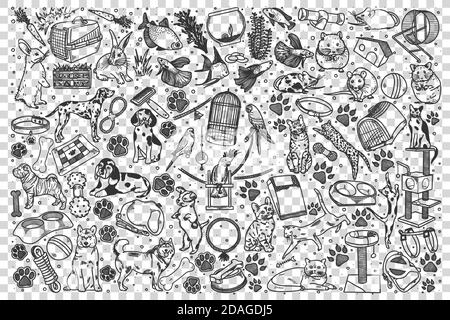 Pets doodle set Stock Vector