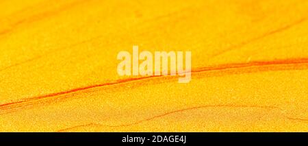 Golden abstract background. Luxury shiny gold texture. Christmas decoration background. Gold painted pattern. Blank for designer. Minimalism Stock Photo