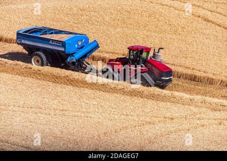 A CaseIH quadtrac tractor pulling a loaded grain cart moves across a wheat field in the Palouse region of Eastern Washington Stock Photo