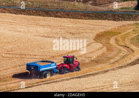 A CaseIH quadtrac tractor pulling a loaded grain cart moves across a wheat field in the Palouse region of Eastern Washington Stock Photo