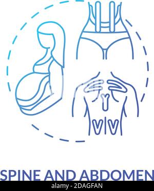 Spine and abdomen blue gradient concept icon Stock Vector