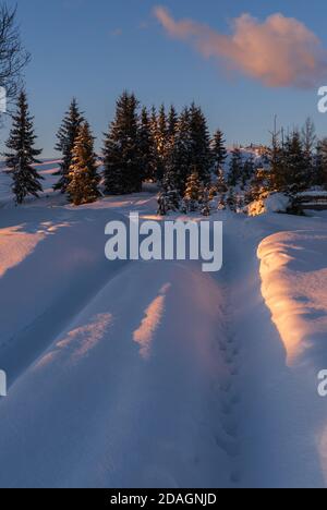 Winter snowy hills, tracks on rural dirt road and trees in last evening sunset sun light. Small and quiet alpine village outskirts. Stock Photo