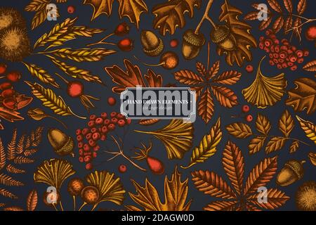 Design on dark background with fern, dog rose, rowan, ginkgo, maple, oak, horse chestnut, chestnut, hawthorn Stock Vector