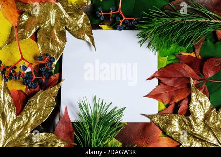 Colorful autumn layout. Creative autumn leaves autumn background with white square copy space Stock Photo