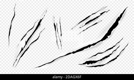 Cat marks, claws scratches isolated vector pets or wild animal nails rip, tiger or bear paws sherds on transparent background. Lion, monster or beast break, , realistic 3d traces on paper texture set Stock Vector