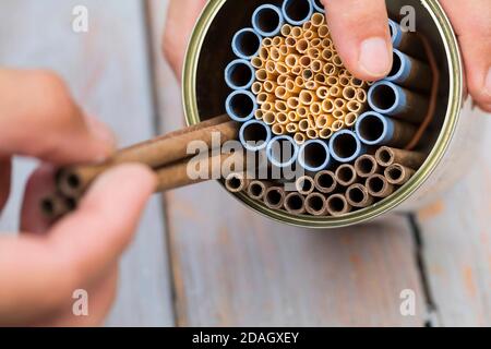 Wild bee nesting aid with cardboard tubes and natural straws in a tin can, Germany Stock Photo