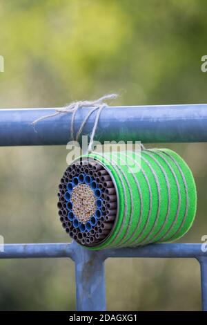Wild bee nesting aid with cardboard tubes and natural straws in a tin can, Germany Stock Photo